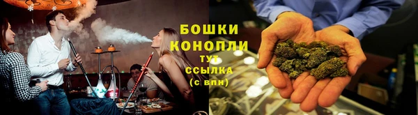 ПСИЛОЦИБИНОВЫЕ ГРИБЫ Арсеньев