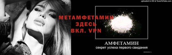 ПСИЛОЦИБИНОВЫЕ ГРИБЫ Арсеньев