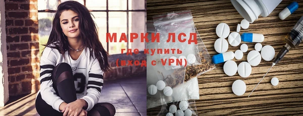 ПСИЛОЦИБИНОВЫЕ ГРИБЫ Арсеньев